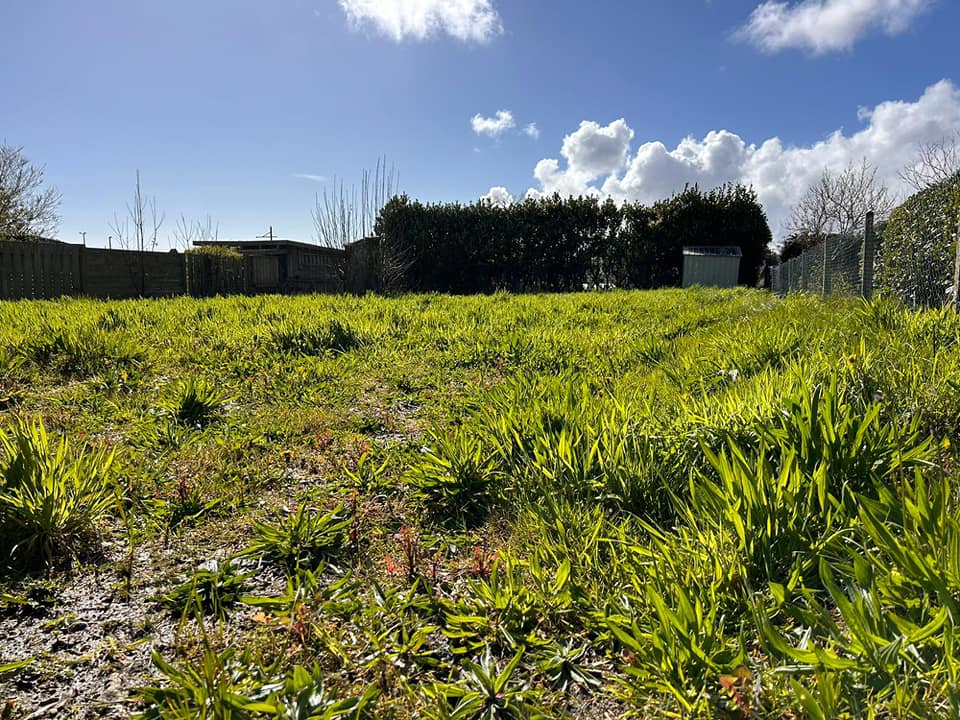 Terrain 588 m2 à CONCARNEAU - Photo 1